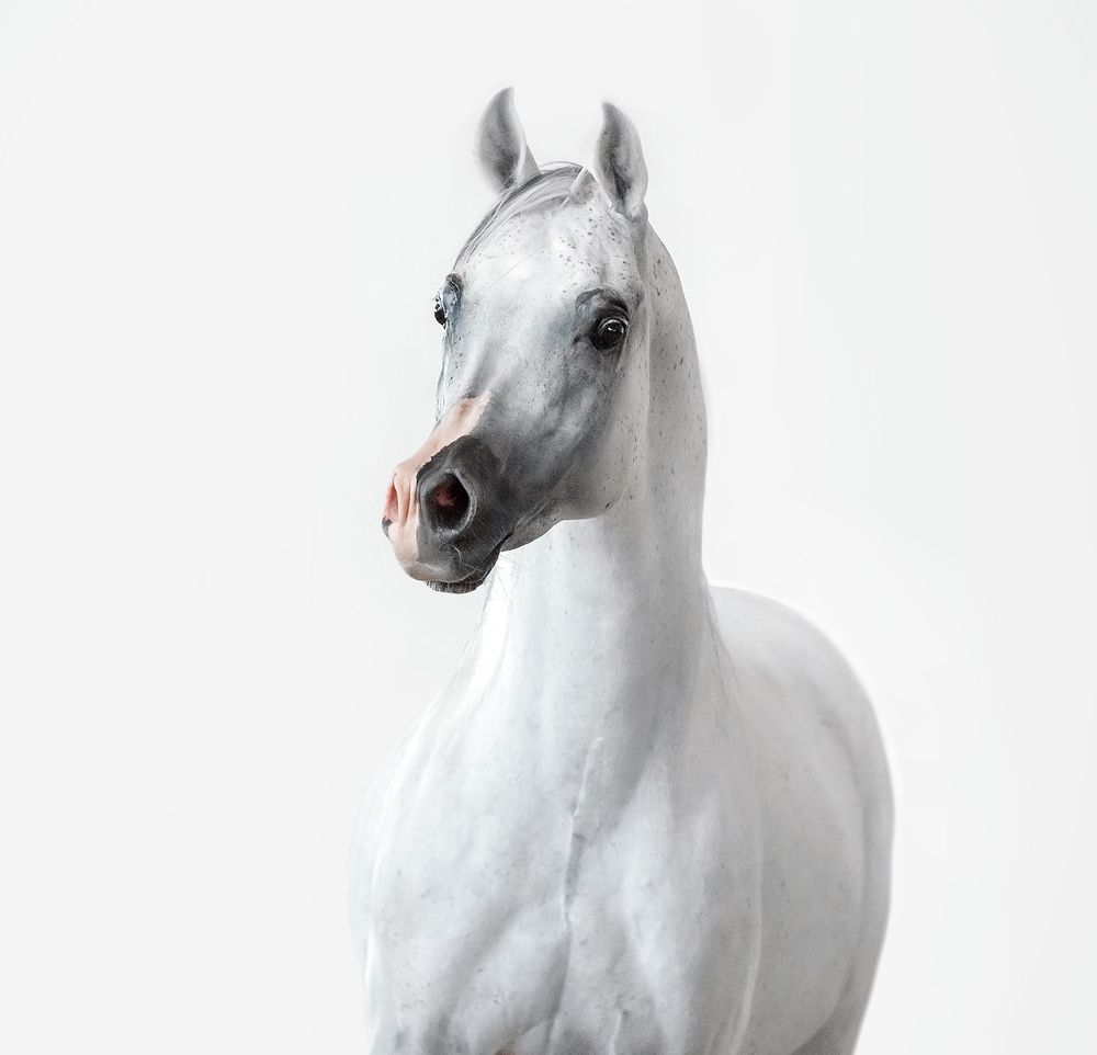 Photograph by Ольга Смирнова