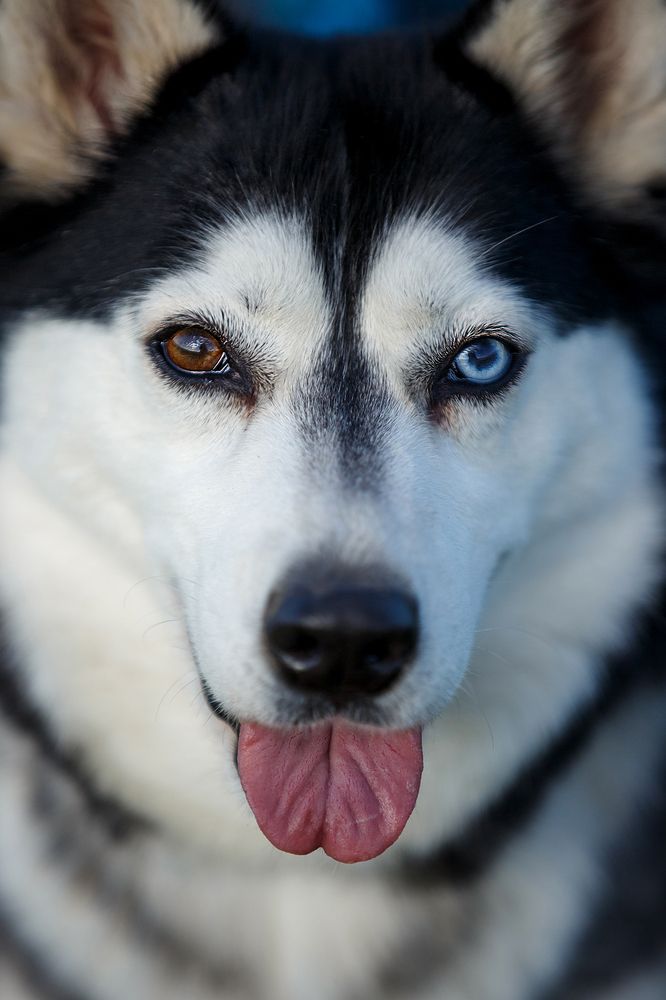 Photograph by Ольга Смирнова