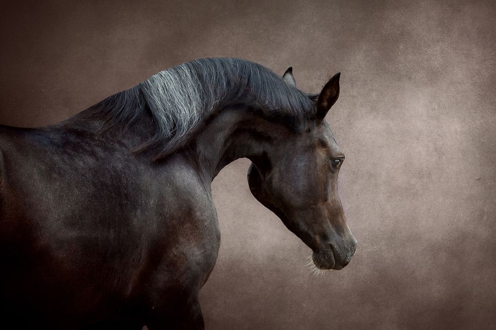 Photograph by Ольга Смирнова