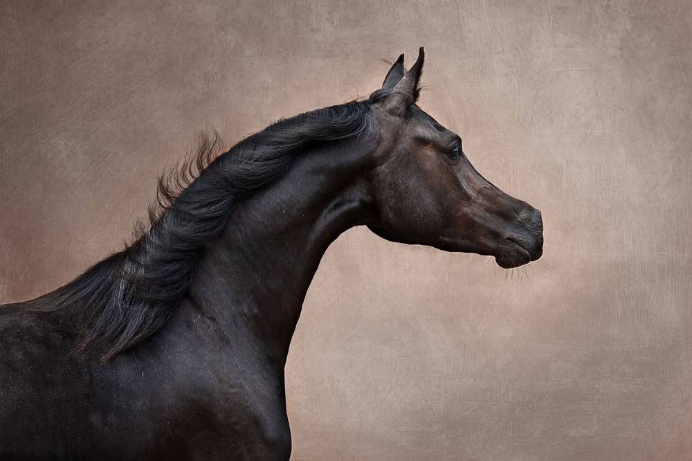 Photograph by Ольга Смирнова