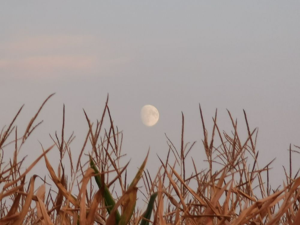 Photograph by Nikolett Mengyi