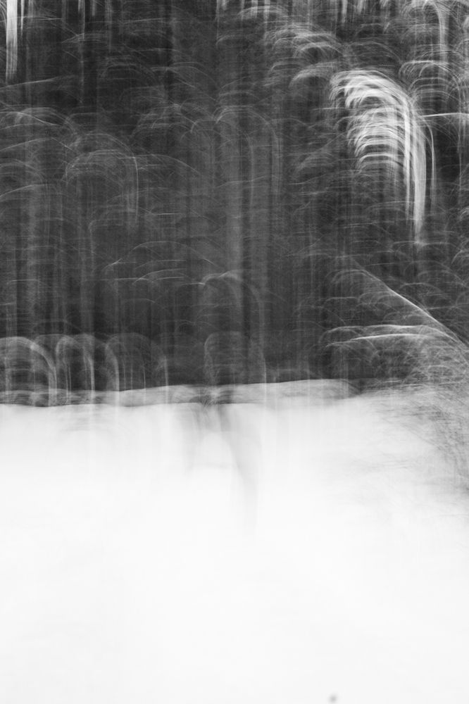 Photograph by Вера Рябинина