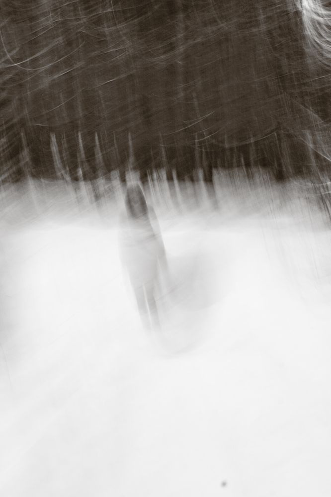 Photograph by Вера Рябинина