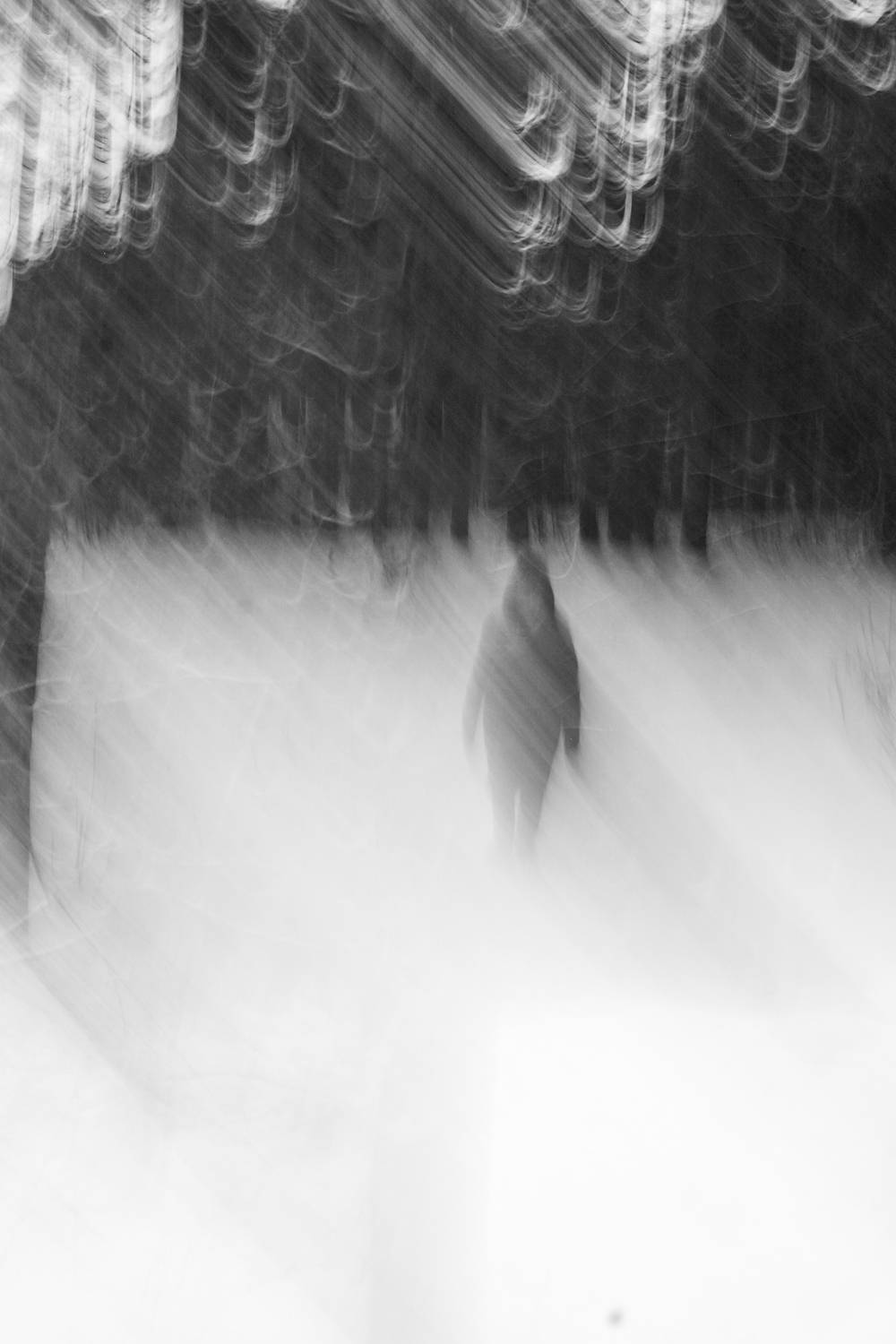 Photo #11922323