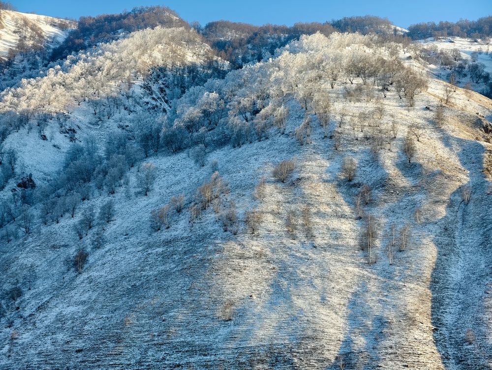 Photograph by Евгений Порсов