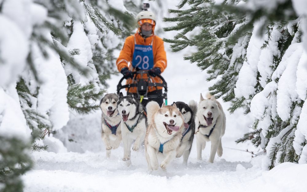 Photograph by Илья Юфа