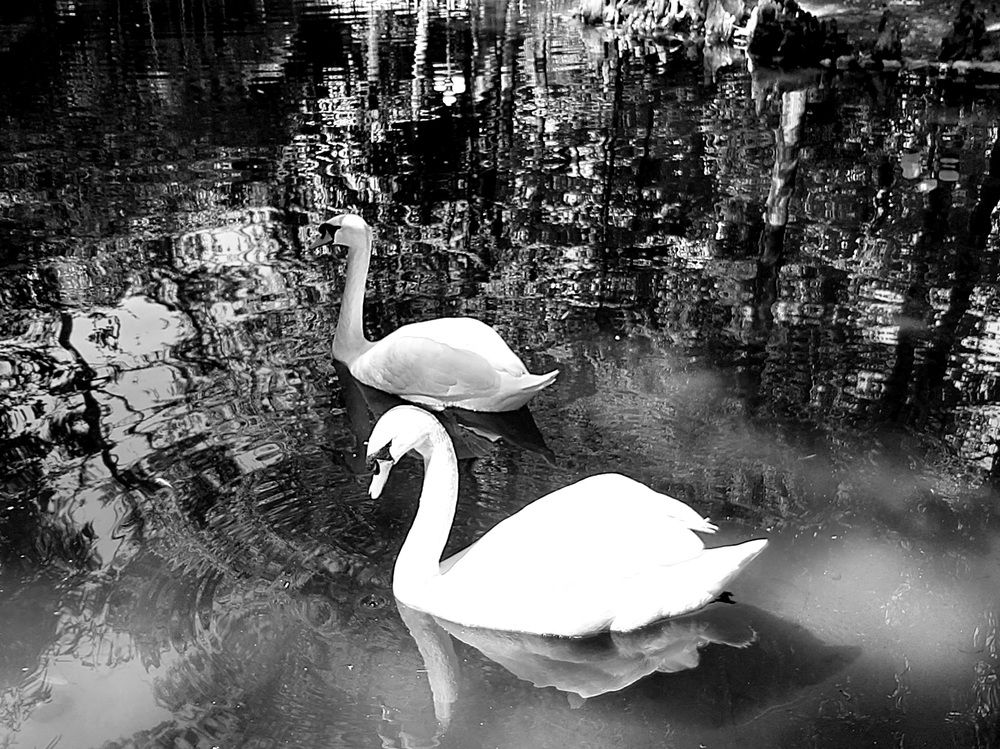 Photograph by Екатерина Иванова