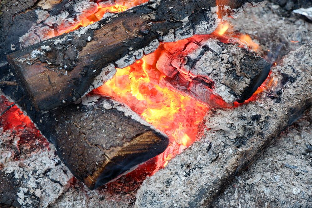 Фотография автора Наталья Липовская