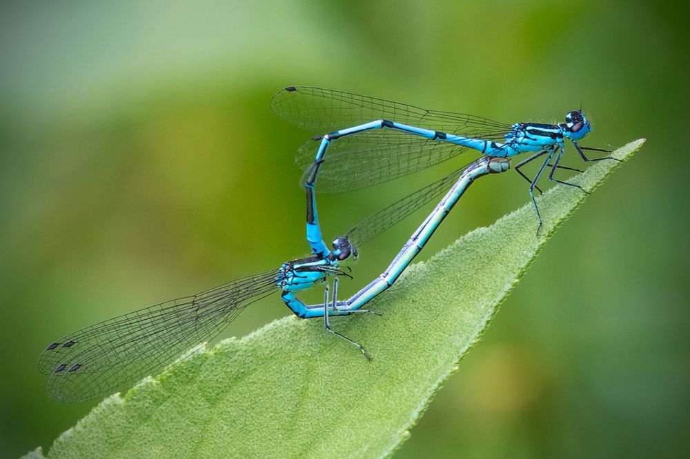 Photograph by Сергей Алексеев