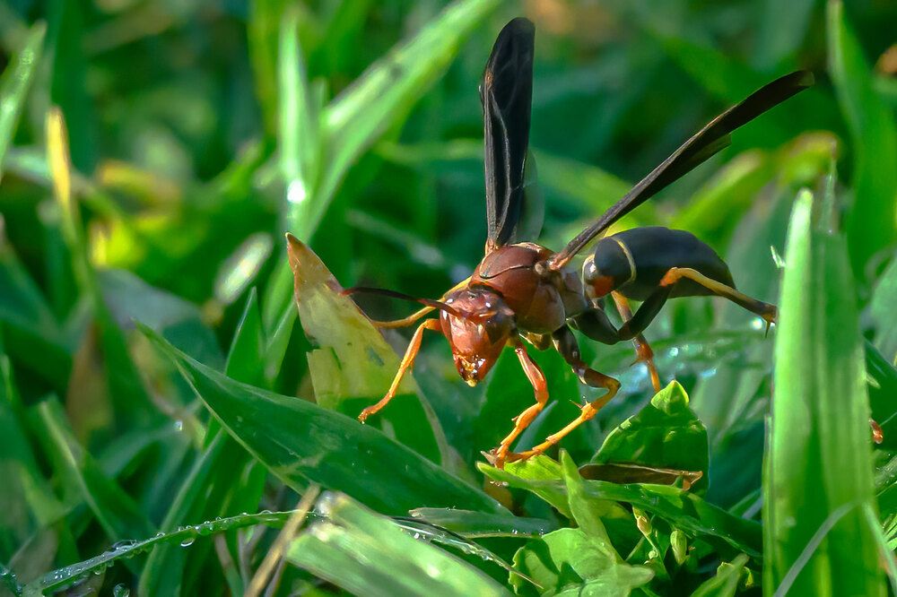 Фотография автора Erik Nelson
