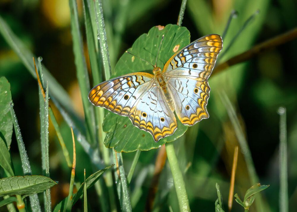 Фотография автора Erik Nelson