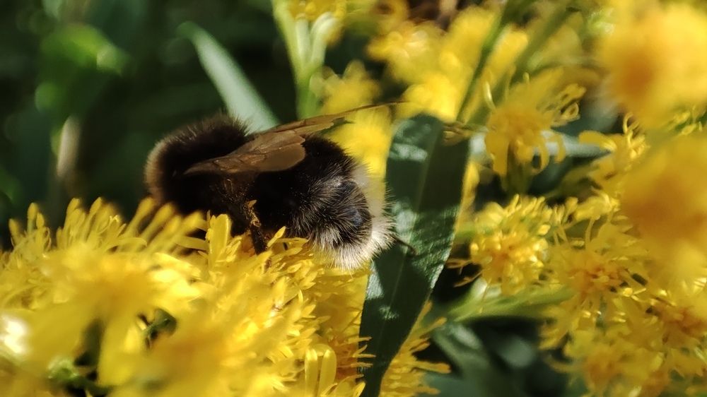 Photograph by Калюнова Наталья