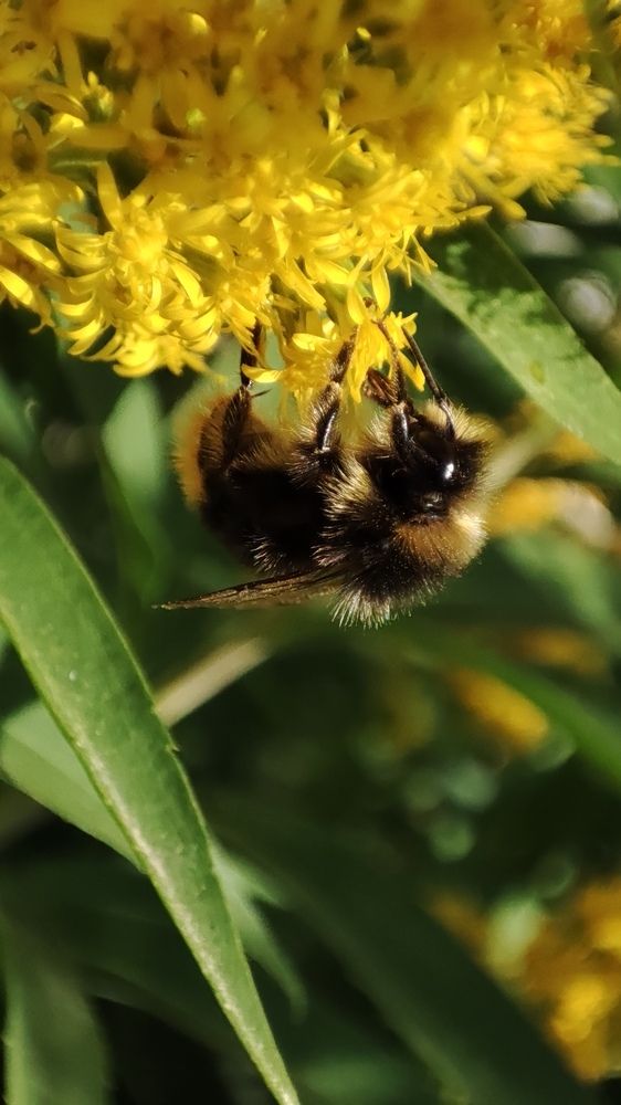 Photograph by Калюнова Наталья