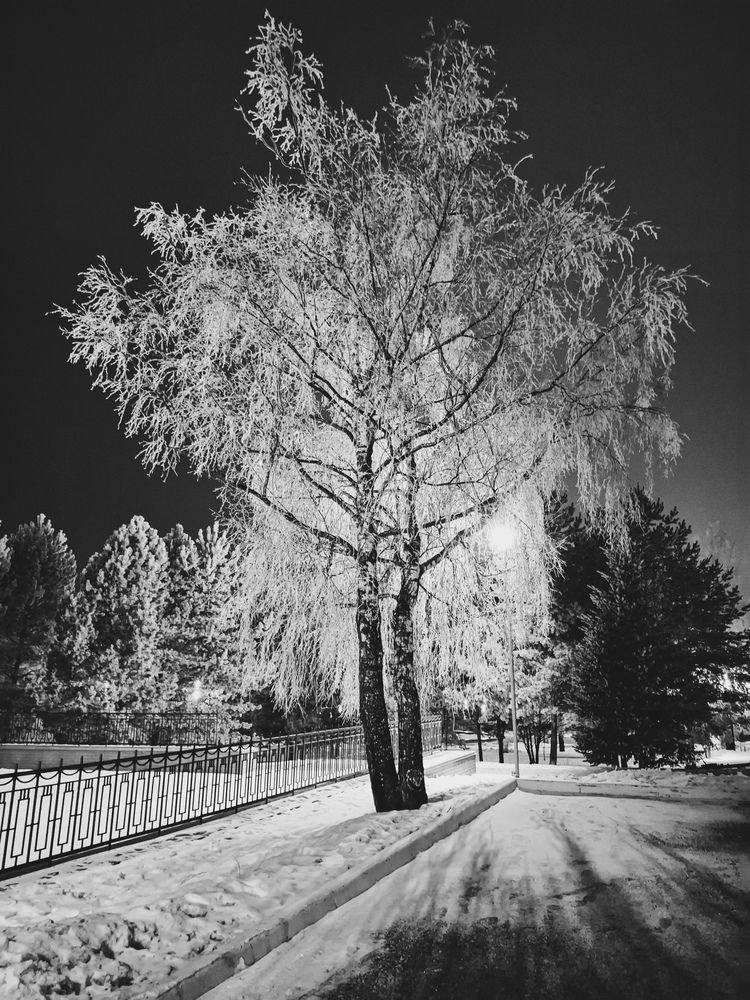 Фотография автора Войнов Дмитрий