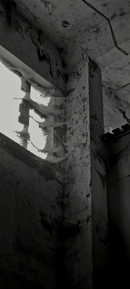 Photograph by Андрей Савёлов