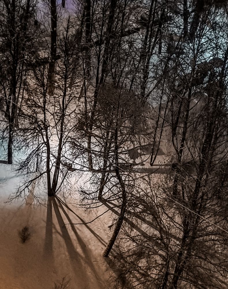 Фотография автора Светлана Алексеева