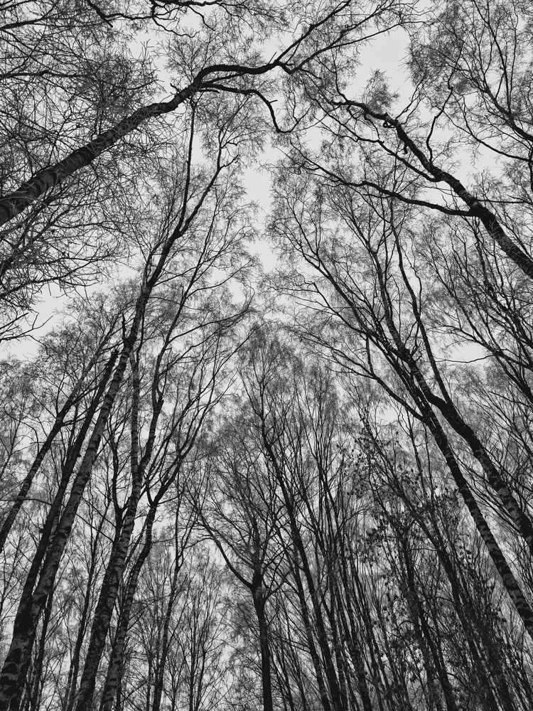 Фотография автора Войнов Дмитрий