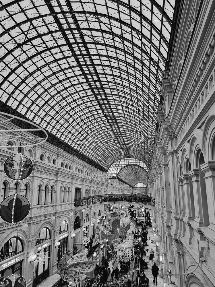 Фотография автора Светлана Алексеева