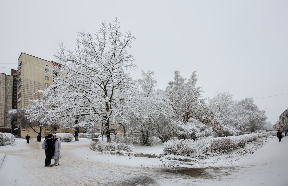 Photograph by Игорь Шишпанов