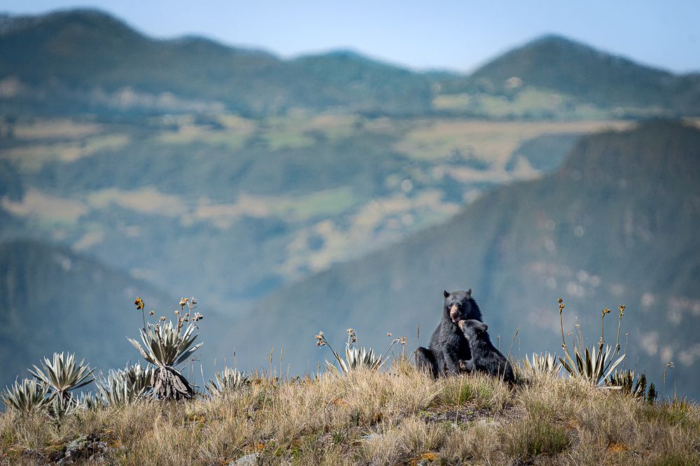 Photograph by María Paula Lozano