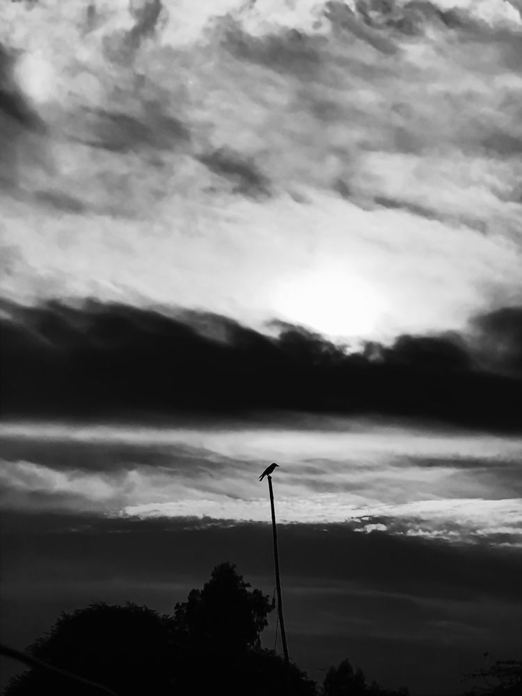 Фотография автора Awais Akram