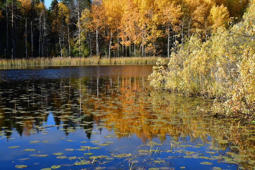 Photograph by Владимир Колесников