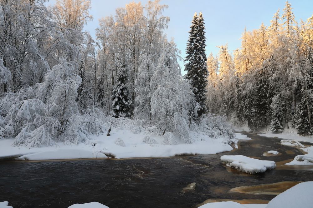 Photograph by елена