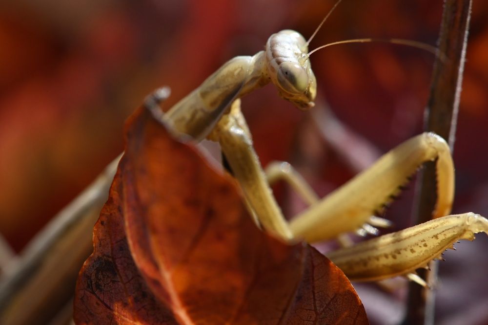 Photograph by Дмитрий Батагов