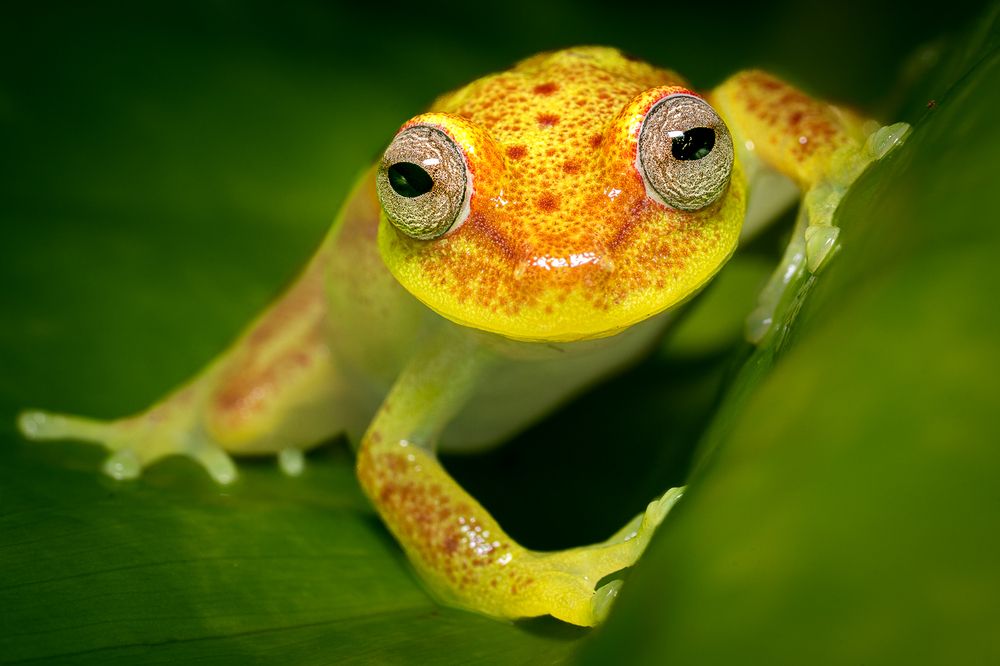 Photograph by María Paula Lozano