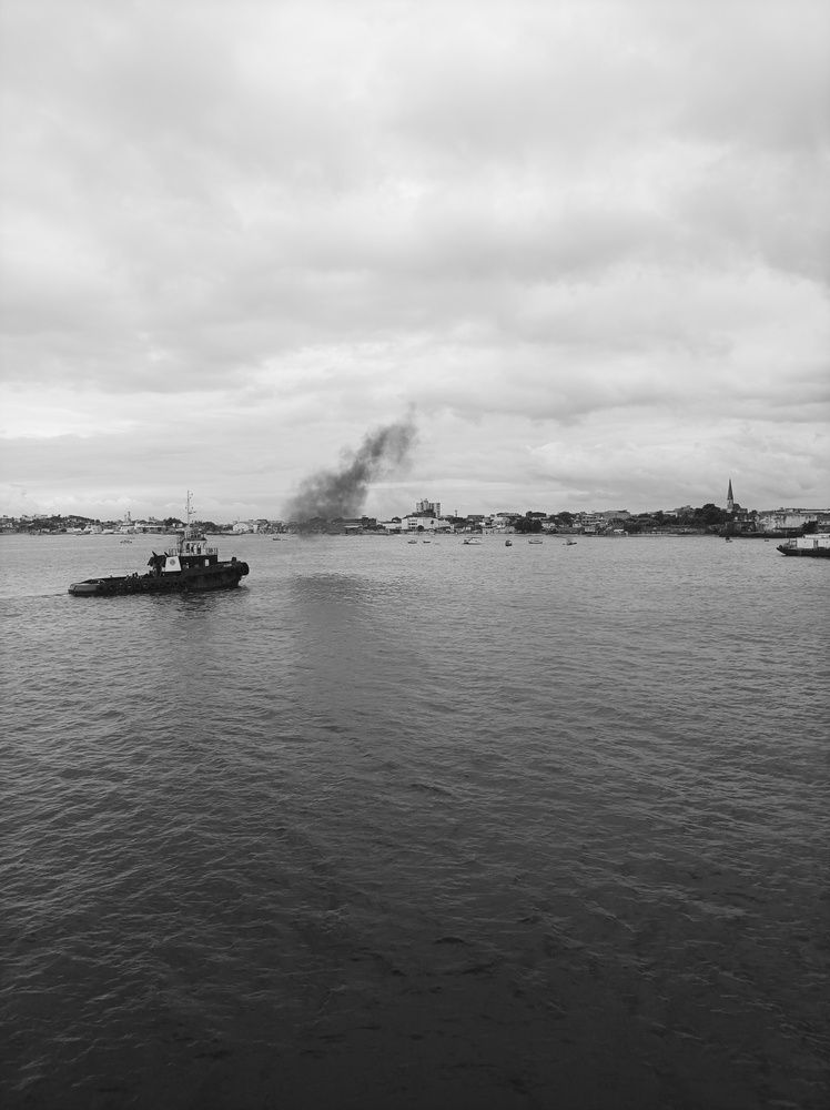 Photo #11922701
