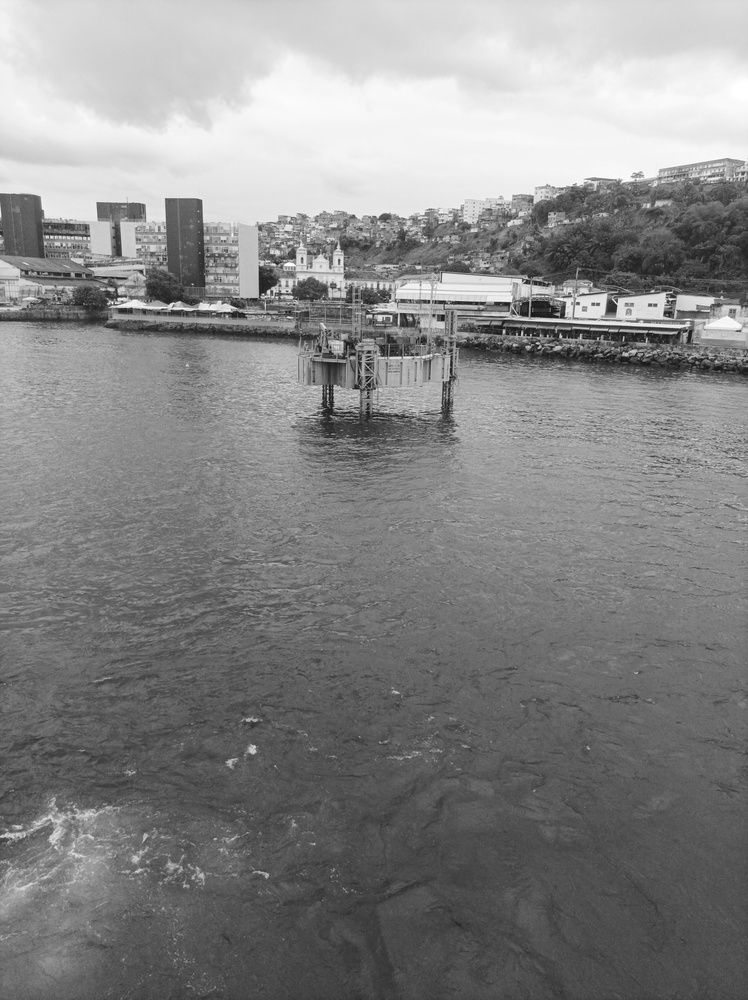 Photo #11922706