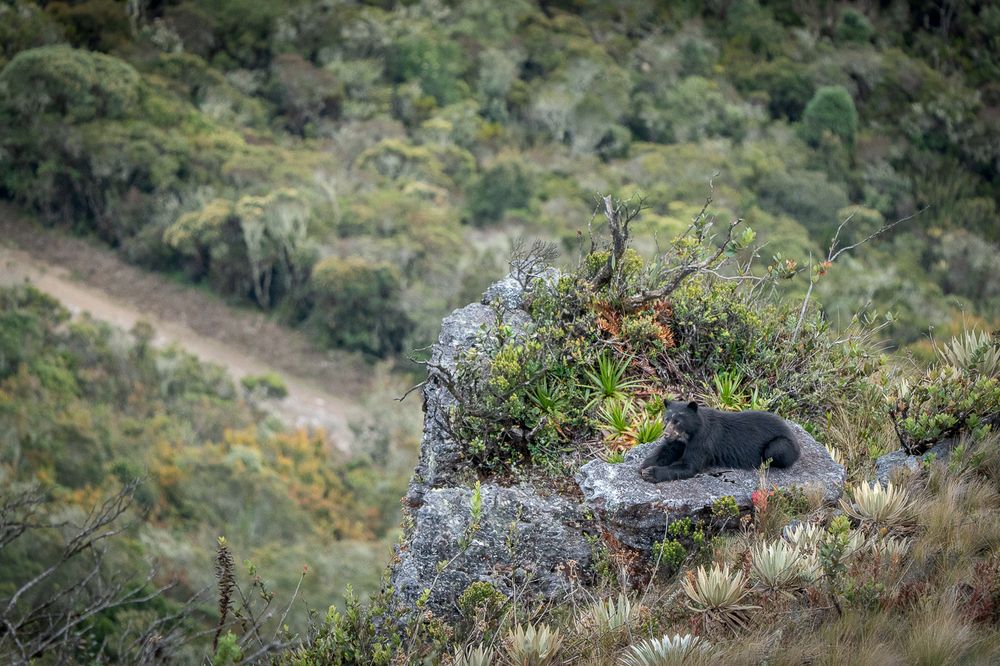 Photograph by María Paula Lozano