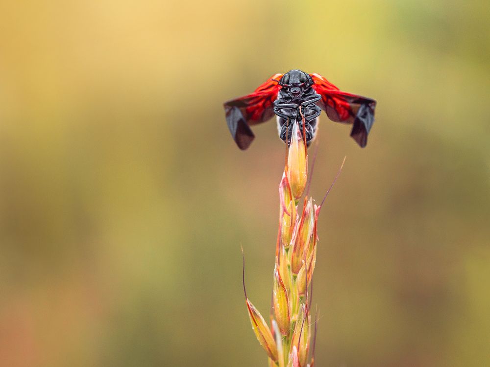 Photograph by Kveta Novotna