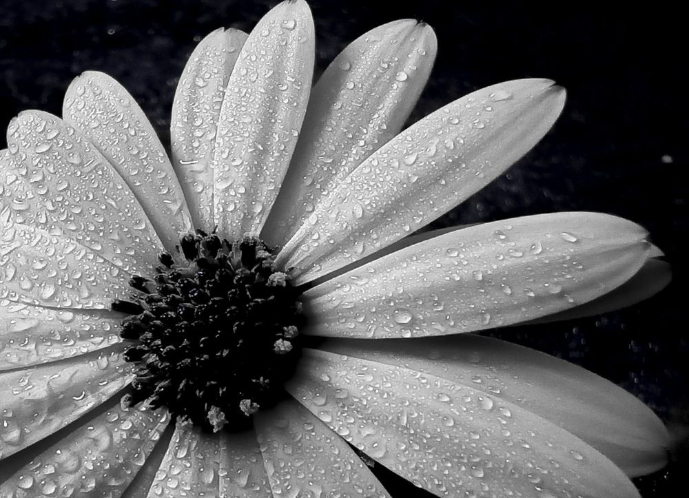 Фотография автора Tahani Almarafi