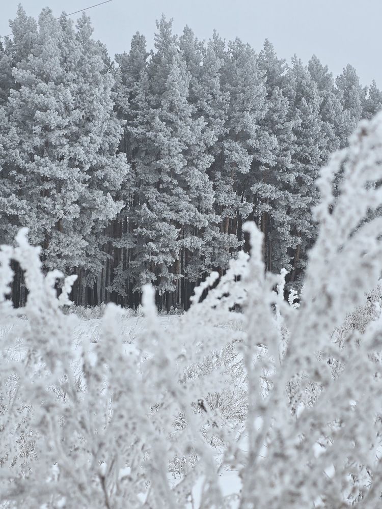 Photograph by Лилия Нуриева