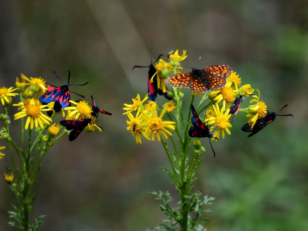 Photograph by Анна Зорька