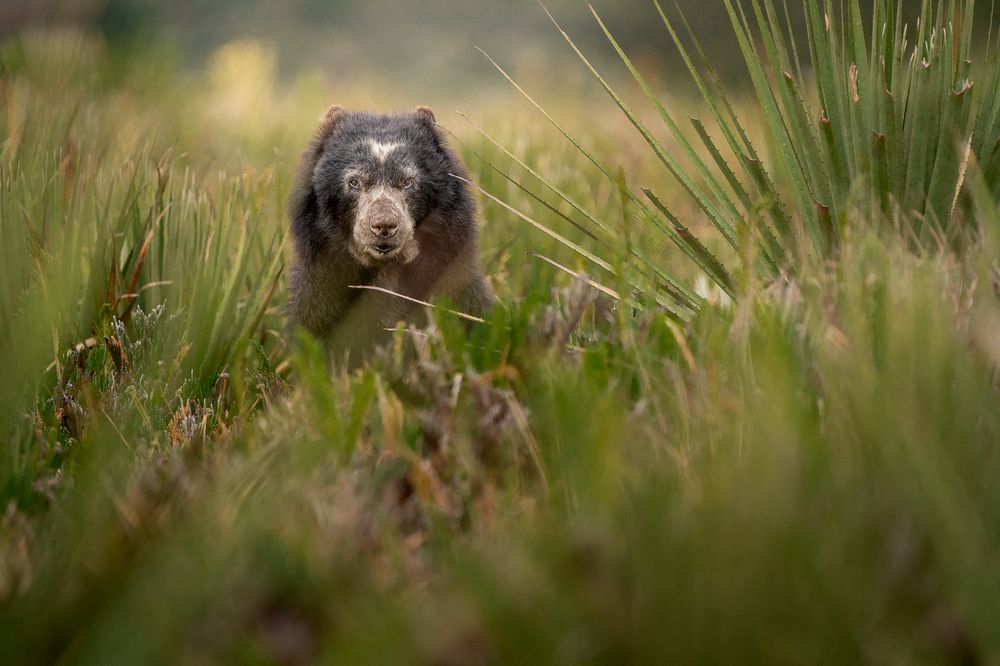 Photograph by María Paula Lozano