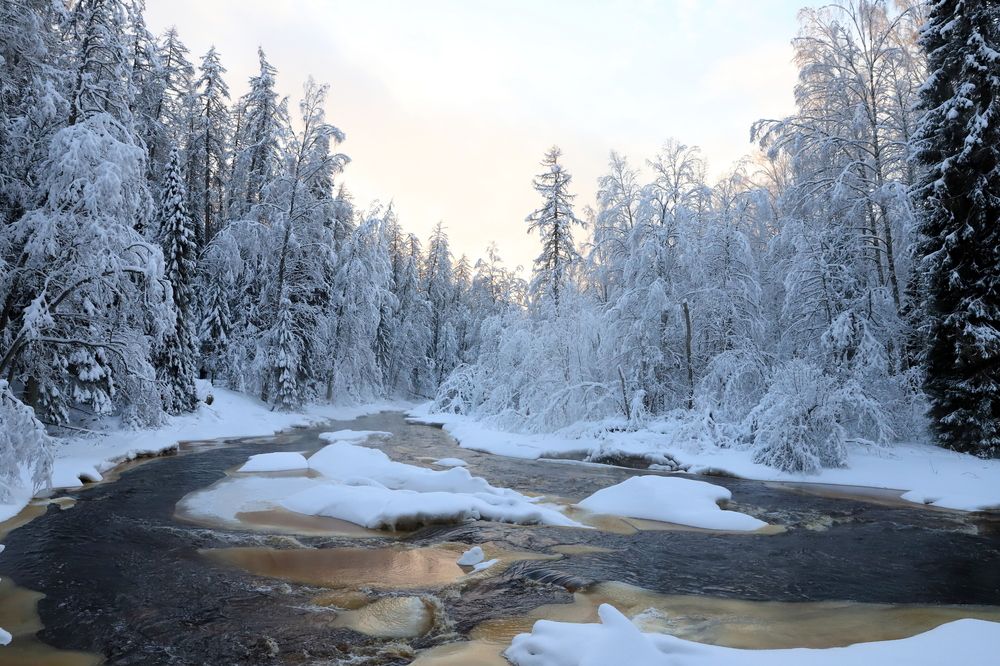 Photograph by елена