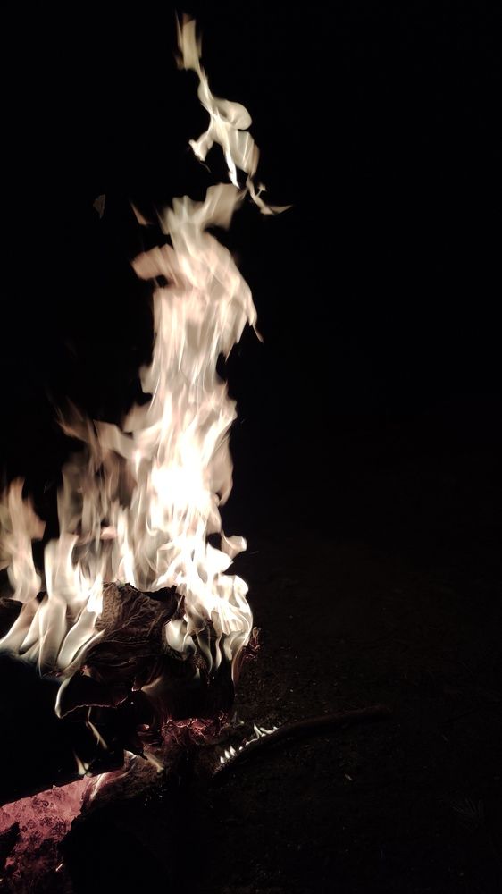 Photograph by Калюнова Наталья