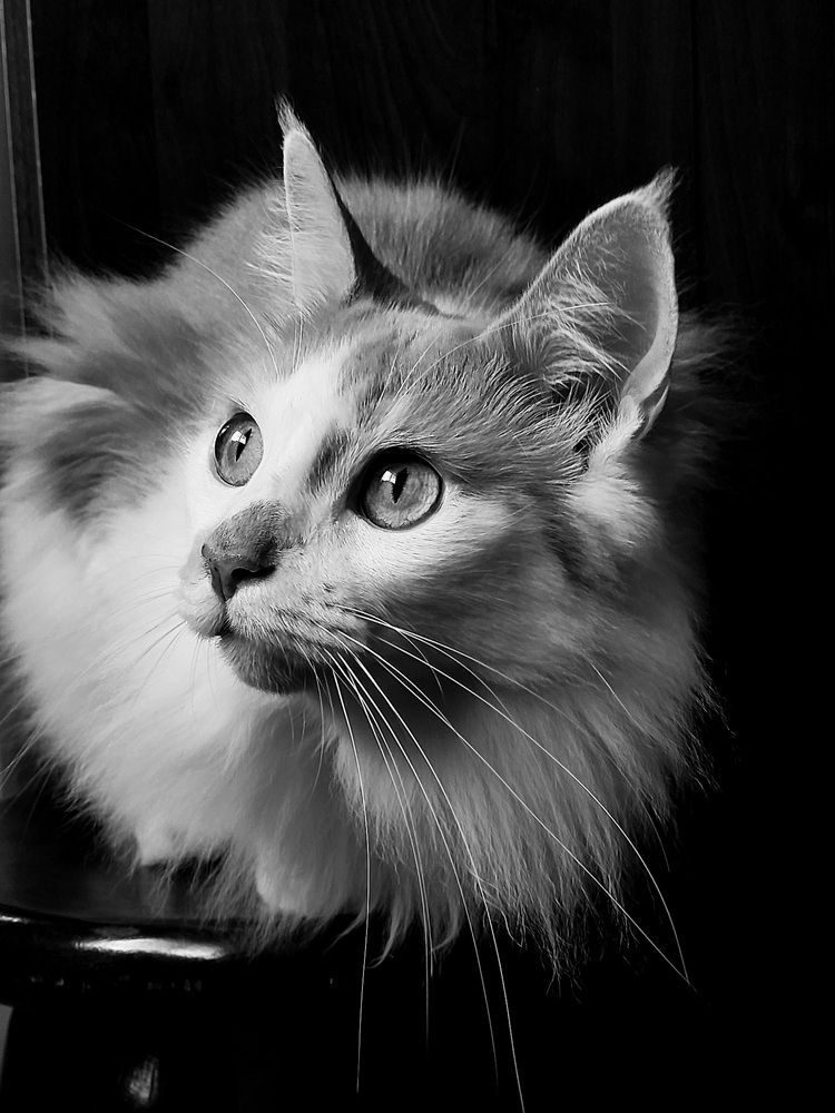 Photograph by Maria da Conceição Queiroz