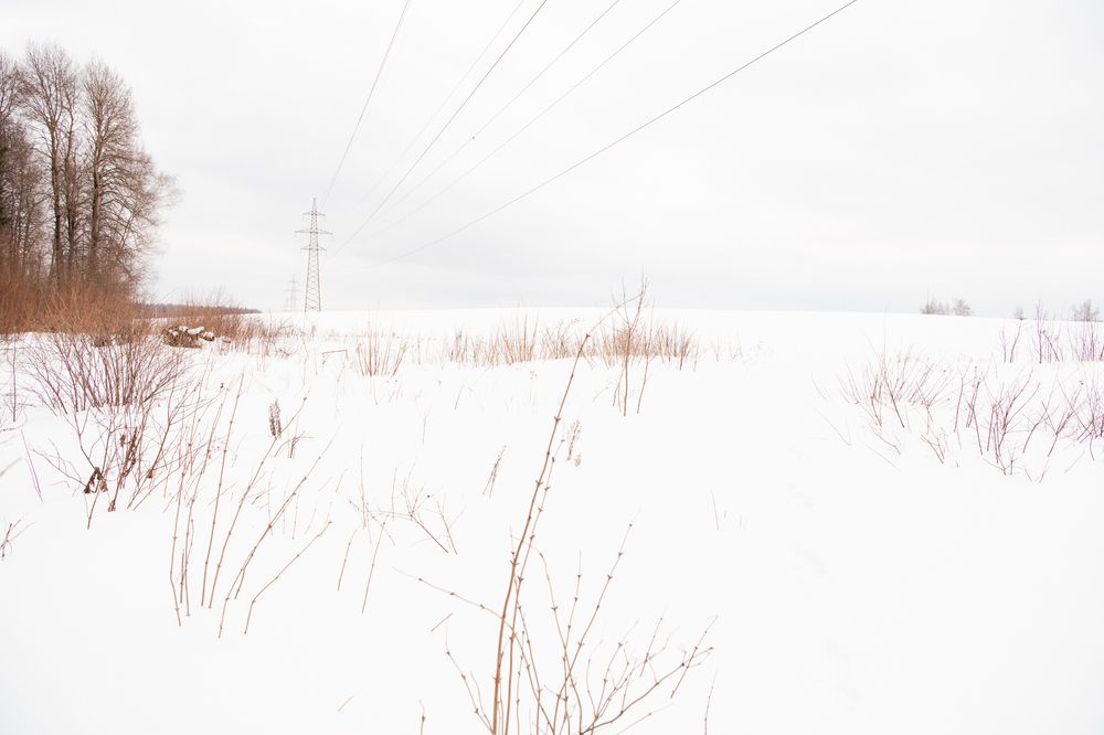 Фотография автора Екатерина Лапаева