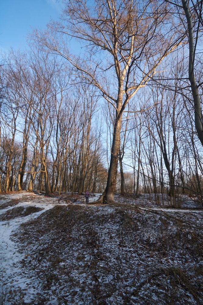 Photograph by Inna Tatarchenko