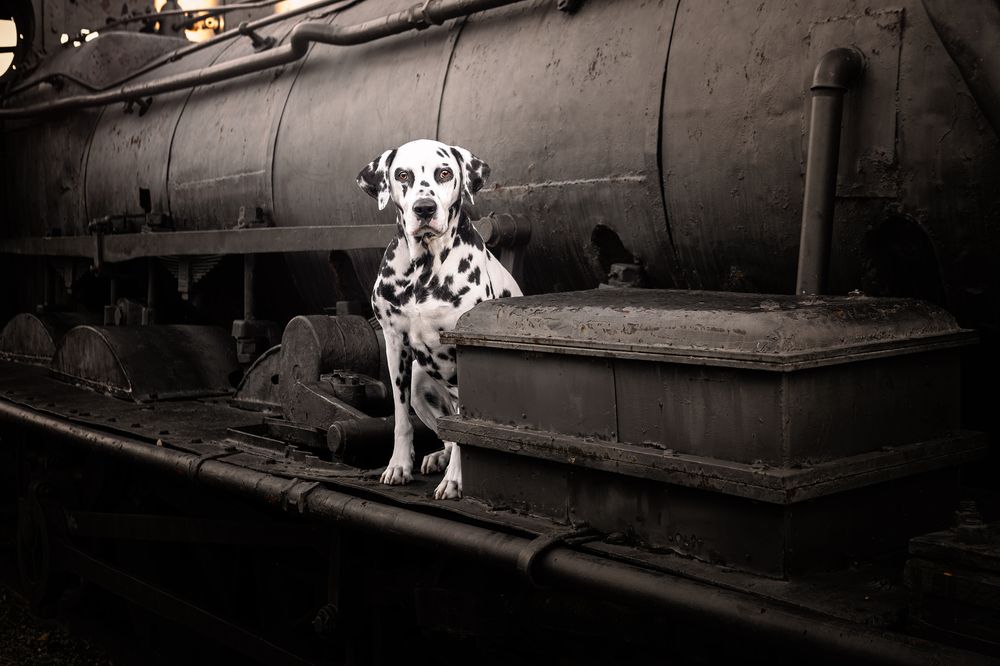 Photograph by Leticia Hernandez