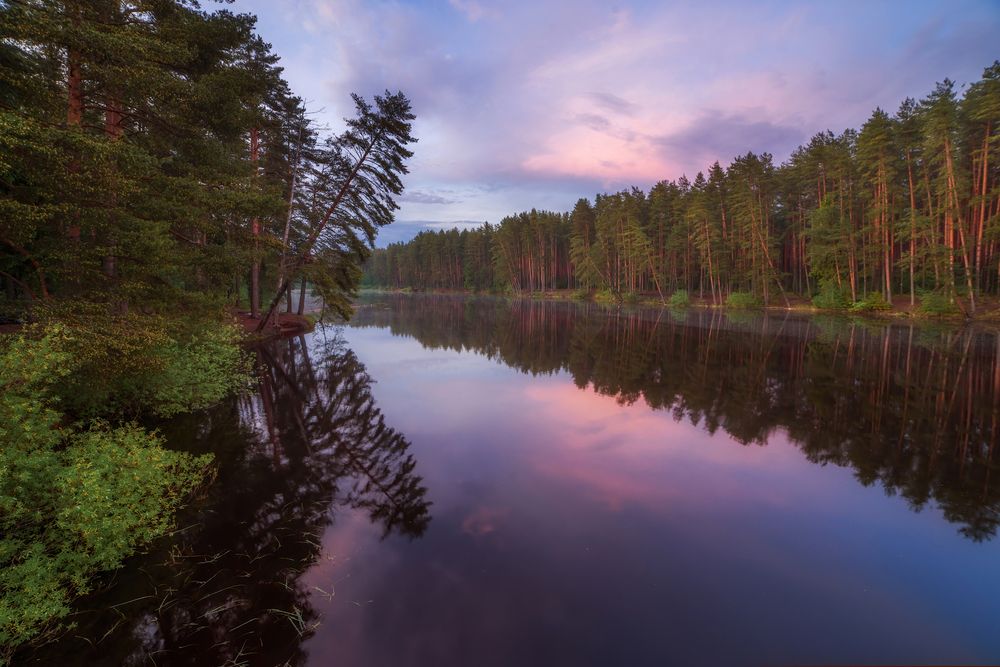 Photograph by Марина Мурашова