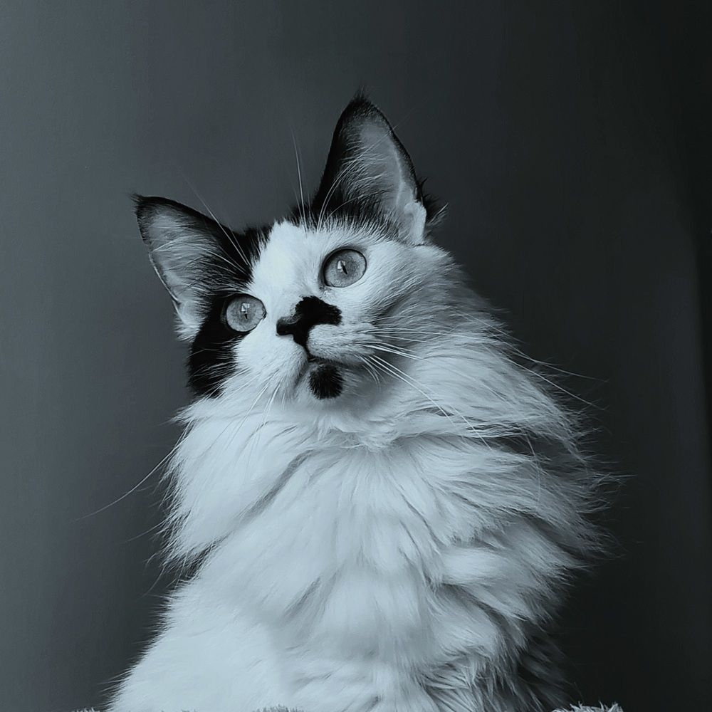 Photograph by Maria da Conceição Queiroz