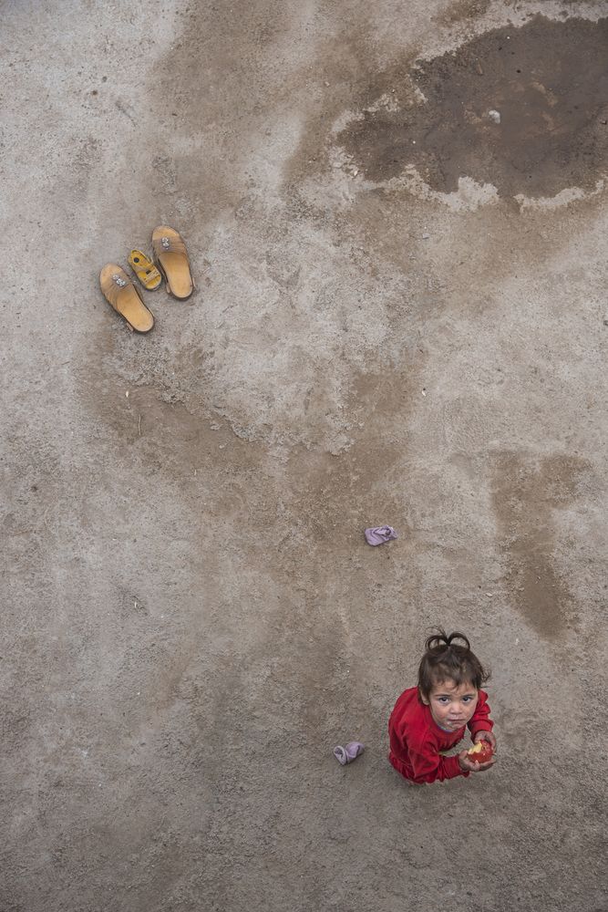 Photograph by ho3in afroozeh