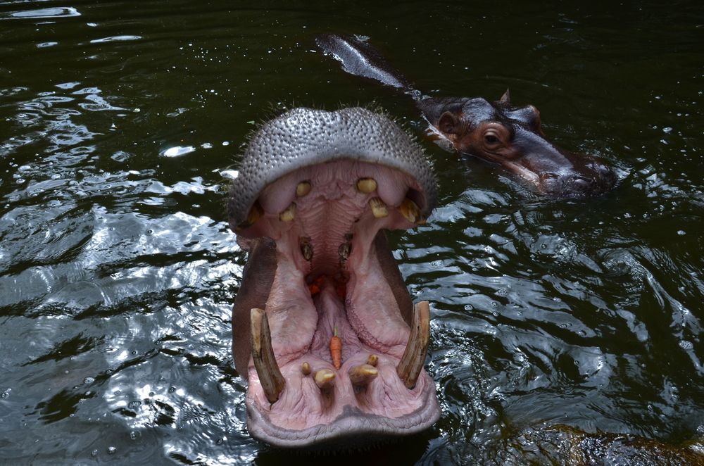 Photograph by Татьяна Чурикова