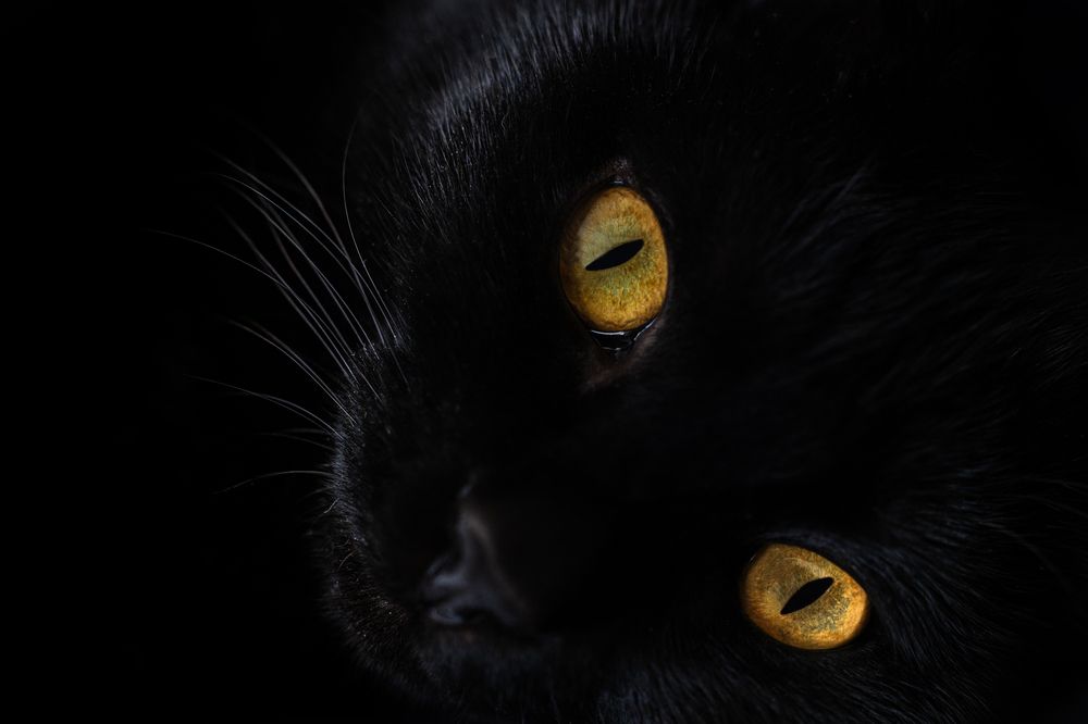 Photograph by ho3in afroozeh