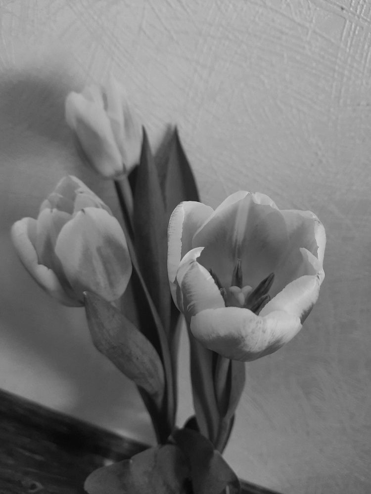 Photograph by Ирина Савостикова