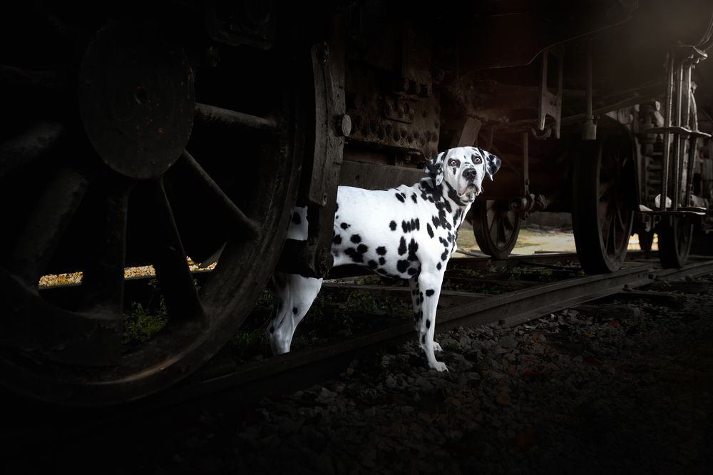 Photograph by Leticia Hernandez